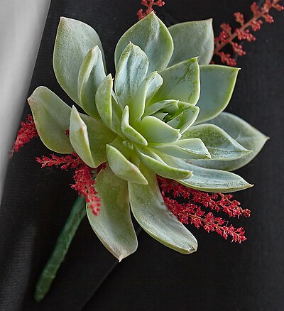 Vineyard Wedding Boutonniere